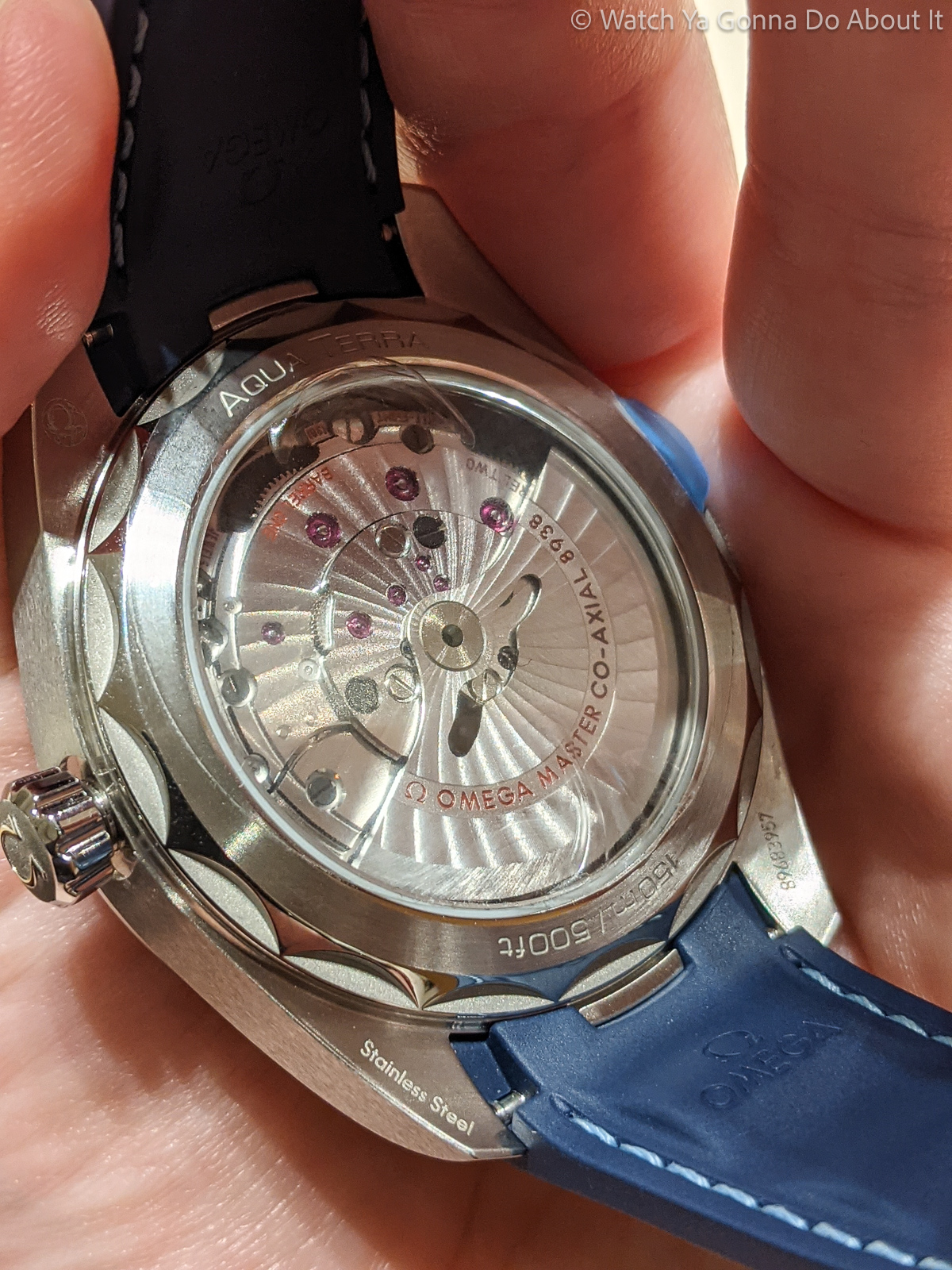 omega seamaster aqua terra gmt