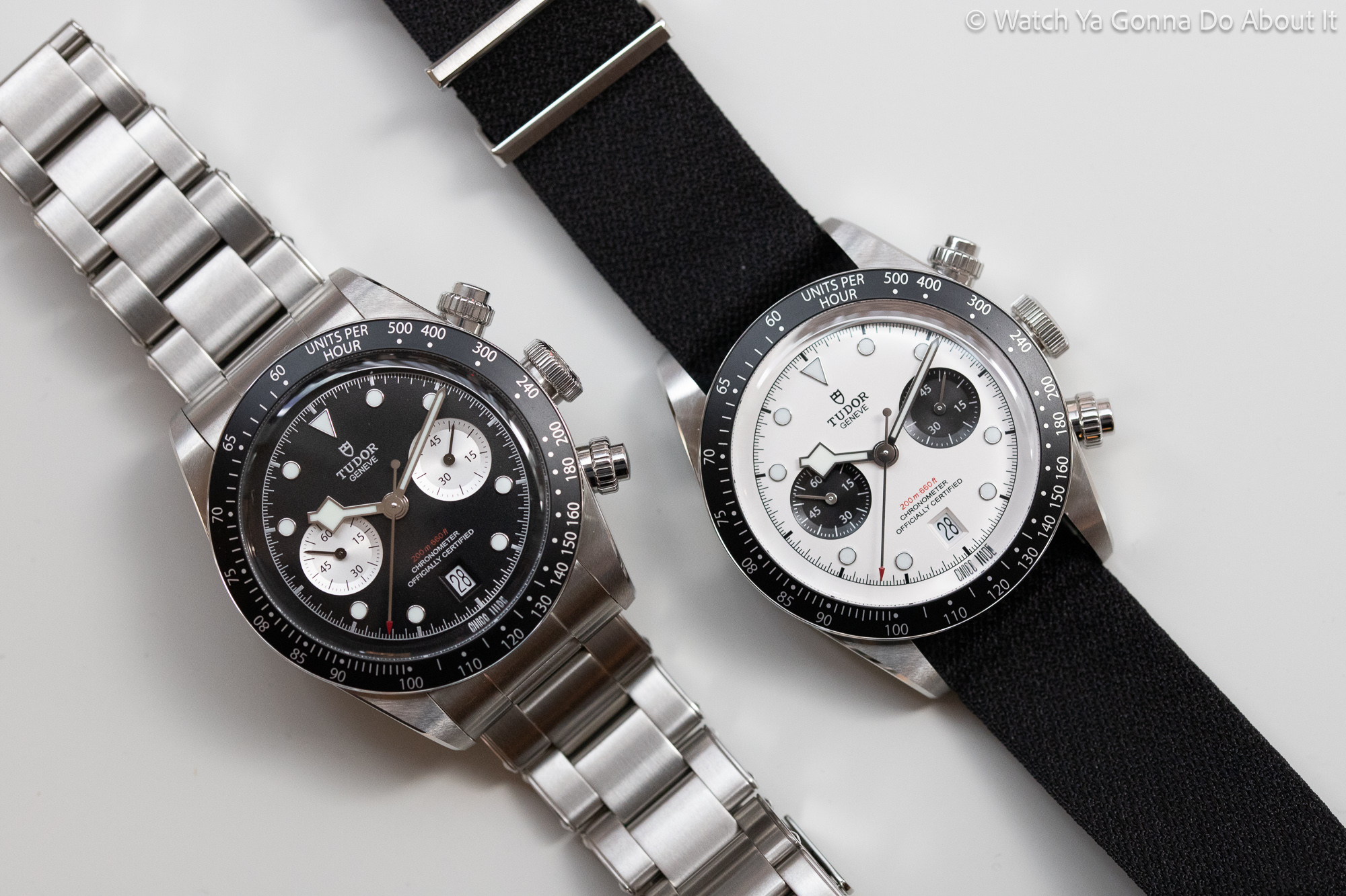 black bay chrono vs daytona