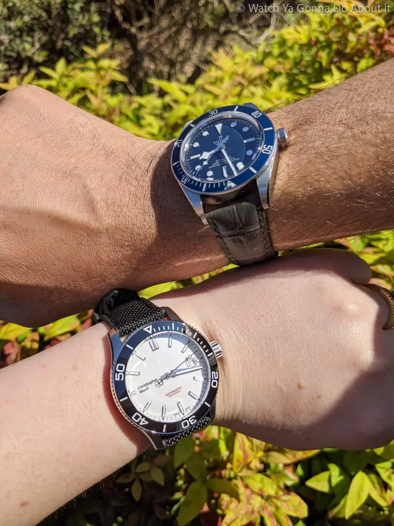 Christopher Ward C60 Trident Pro 600